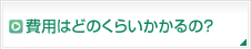 費用はどのくらいかかるの？